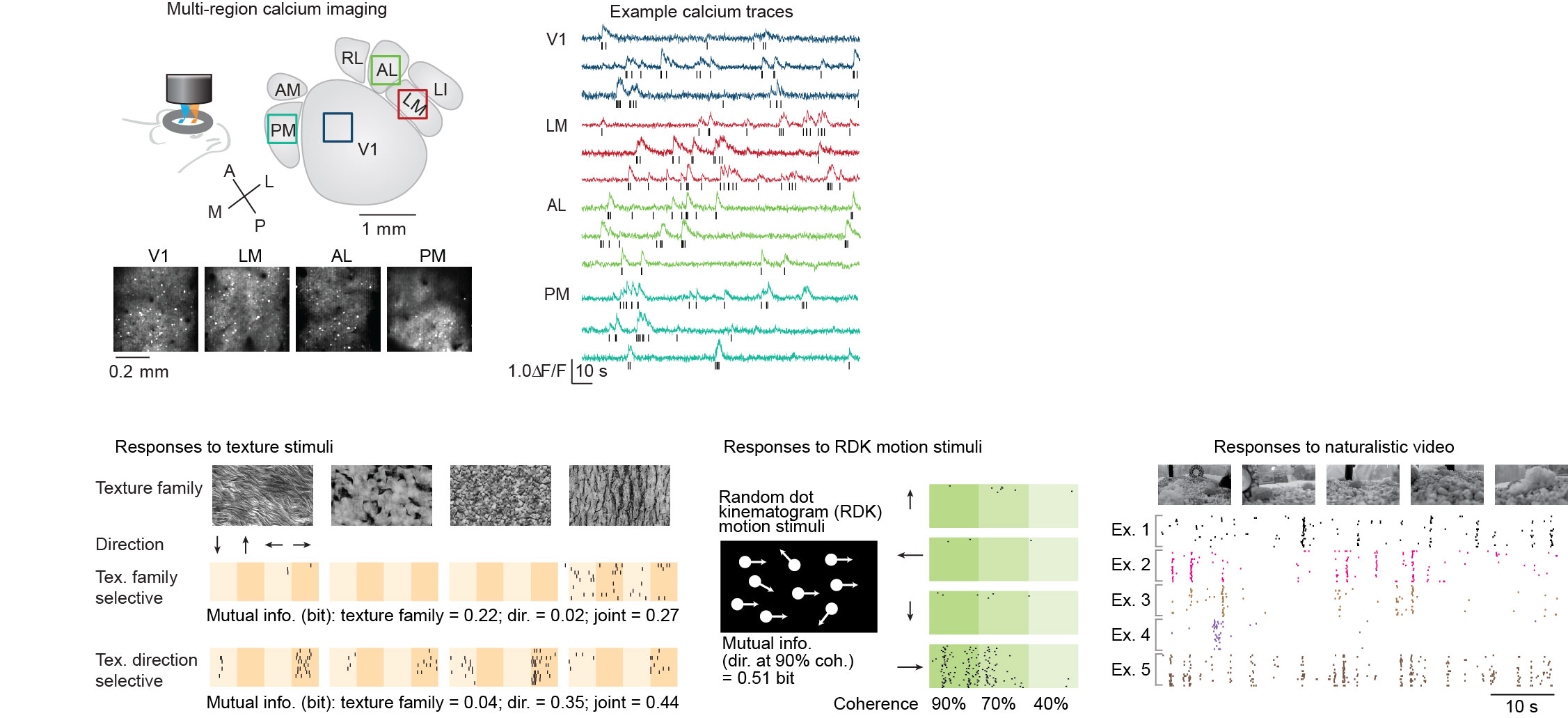 TextureMotionSegregation